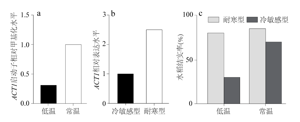 图3　不同条件下的表达量与甲基化水平